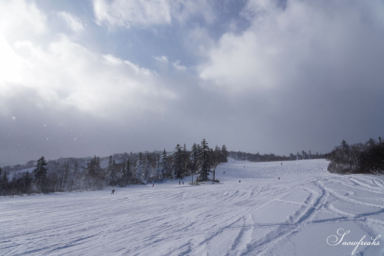 札幌国際スキー場 これぞ北海道。粉雪が降り積もったゲレンデはコンディション良好！そして、早くも全コース滑走可能です(*^^)v